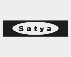 Satya_Icon_250x200-260.png