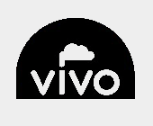 vivo_liquids_logo.png