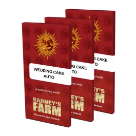 https://www.smokestars.de/media/catalog/product/cache/1/image/265x/9df78eab33525d08d6e5fb8d27136e95/b/a/barneys-farm-wedding-cake-auto-autoflowering-cannabis-seeds-5-seeds-pack-1.jpg