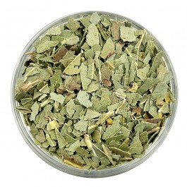 https://www.smokestars.de/media/catalog/product/cache/1/image/265x/9df78eab33525d08d6e5fb8d27136e95/e/u/eukalyptusblaetter_bio_1920x1920.jpg