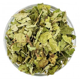https://www.smokestars.de/media/catalog/product/cache/1/image/265x/9df78eab33525d08d6e5fb8d27136e95/m/e/melisseblaetter_bio_1920x1920.jpg