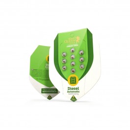 https://www.smokestars.de/media/catalog/product/cache/1/image/265x/9df78eab33525d08d6e5fb8d27136e95/r/q/rqs-diesel-auto-1.jpg