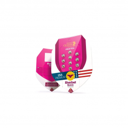 https://www.smokestars.de/media/catalog/product/cache/1/image/265x/9df78eab33525d08d6e5fb8d27136e95/r/q/rqs-sherbet-fem.png