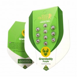 https://www.smokestars.de/media/catalog/product/cache/1/image/265x/9df78eab33525d08d6e5fb8d27136e95/w/h/wholesale-royal-queen-seeds-granddaddy-purple-auto-autoflowering-cannabis-seeds-3-seeds-pack-1.jpg