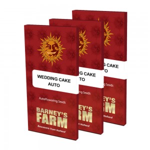 Barney's Farm Wedding Cake Auto 3 Samen