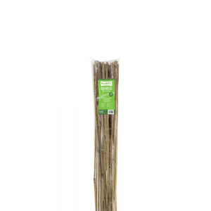 PLANT!T Bambusstock 90 cm 25er Bündel