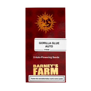 Barney's Farm Gorilla Glue Auto 5 Samen