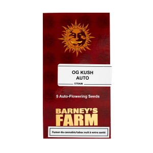 Barney's Farm OG Kush Auto 5 Samen