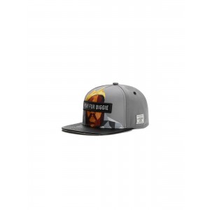 CAYLER & SONS WL Bigasso Cap grau