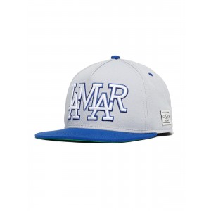 CAYLER & SONS WL Cap Lamar grau