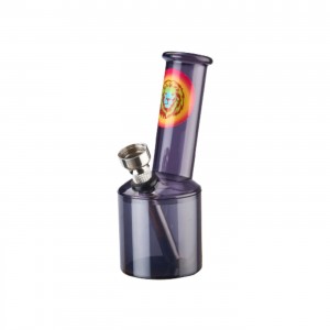 Champ High Mini Acryl Zylinderbong schwarz