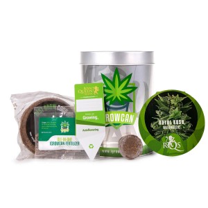 iGrowcan Set Royal Kush Automatic