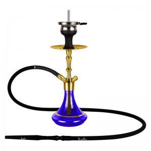 MVP360 Gold blau mit Goldring