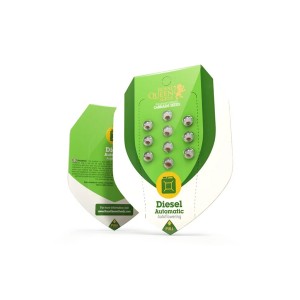 Royal Queen Seeds Diesel Automatic 3 Samen