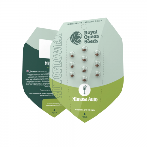 Royal Queen Seeds Mimosa Automatic 5 Samen