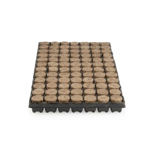 Speedgrow Green Anzuchtmatte 38/40 mit 84 Anzuchtwürfeln