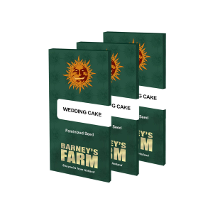 Barney's Farm Wedding Cake Feminisiert 3 Samen