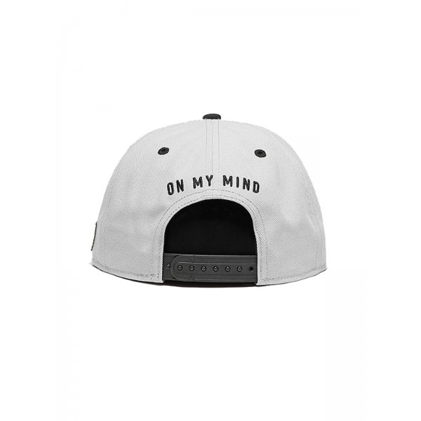 CAYLER & SONS WL Trouble Cap grau