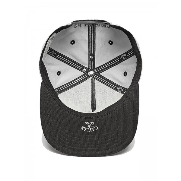 CAYLER & SONS WL Trouble Cap grau