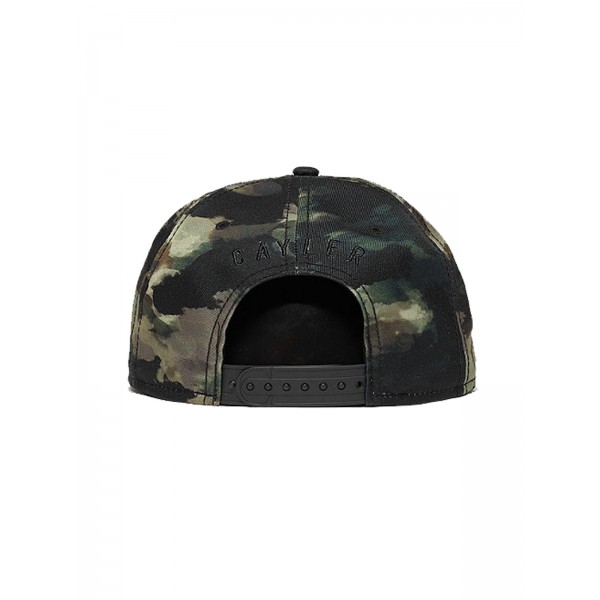 CAYLER & SONS WL Scripted Cap multicolor