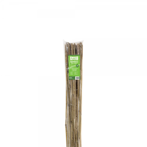PLANT!T Bambusstock 90 cm 25er Bündel