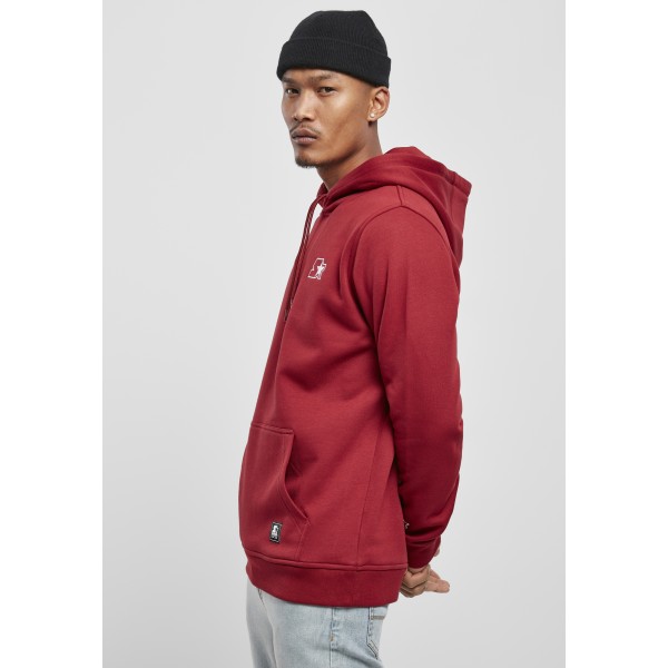 Starter Small Logo Hoody rot