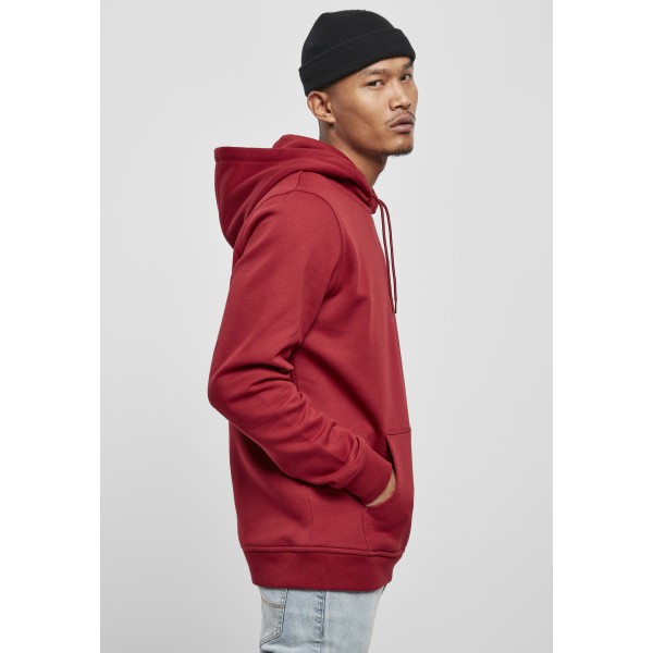 Starter Small Logo Hoody rot