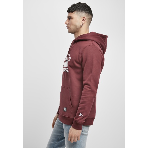 Starter The Classic Logo Hoody rot