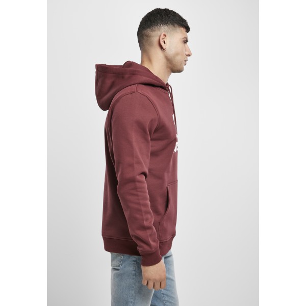 Starter The Classic Logo Hoody rot