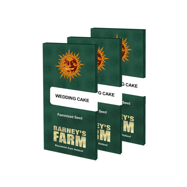 Barney's Farm Wedding Cake Feminisiert 3 Samen