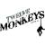 Twelve Monkeys E-Liquid Shop